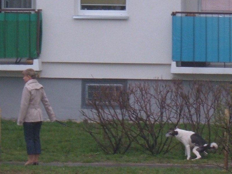Pani mnie wyprowadza ale po mnie nie sprz�ta