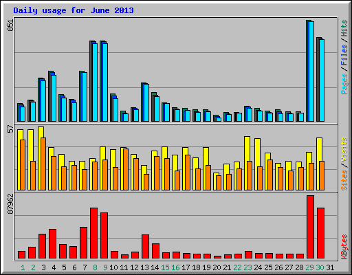 Daily usage for June 2013