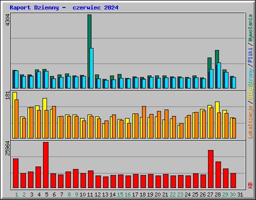 Raport Dzienny -  czerwiec 2024