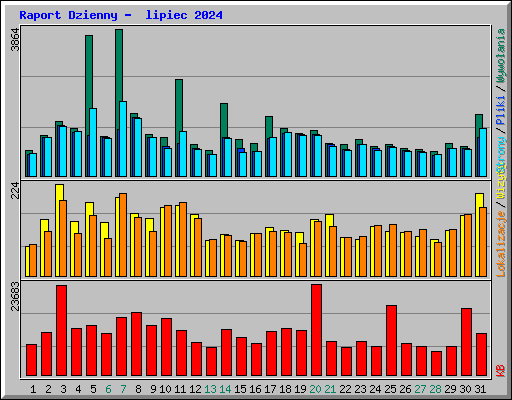 Raport Dzienny -  lipiec 2024