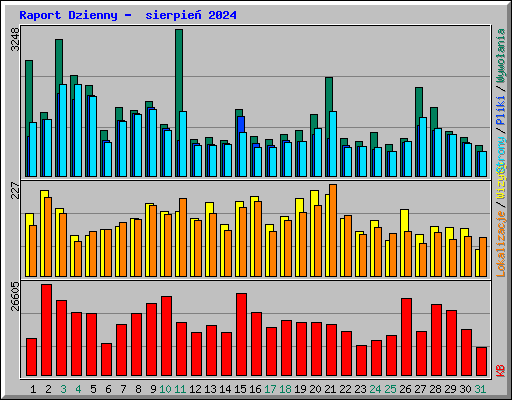 Raport Dzienny -  sierpie 2024