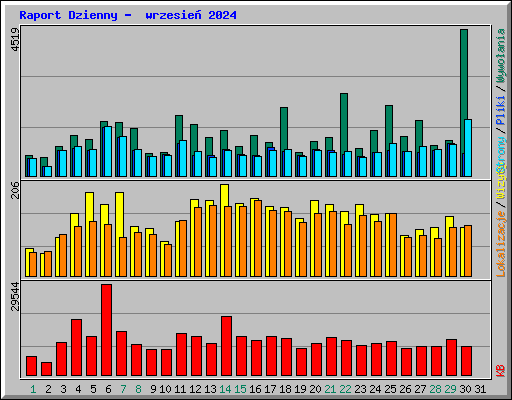 Raport Dzienny -  wrzesie 2024