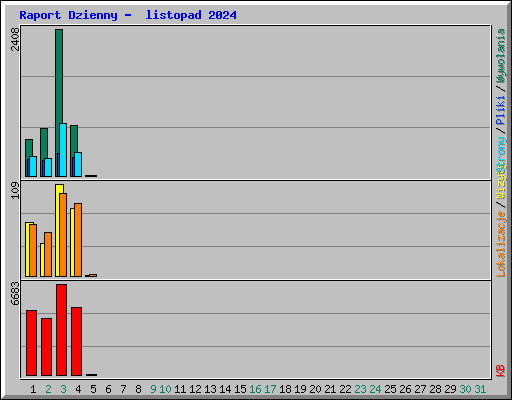 Raport Dzienny -  listopad 2024