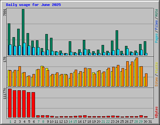 Daily usage for June 2025