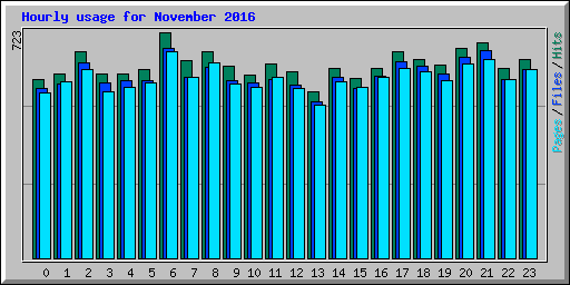 Hourly usage for November 2016
