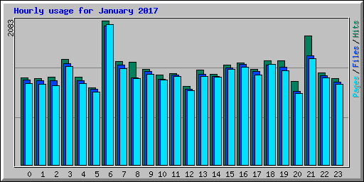 Hourly usage for January 2017
