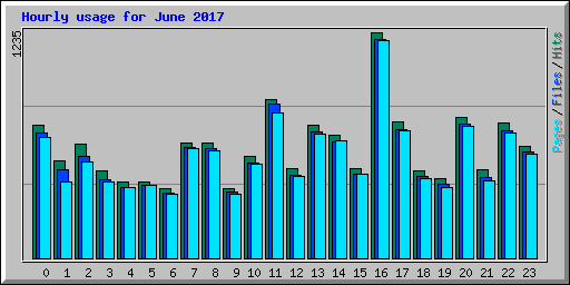 Hourly usage for June 2017