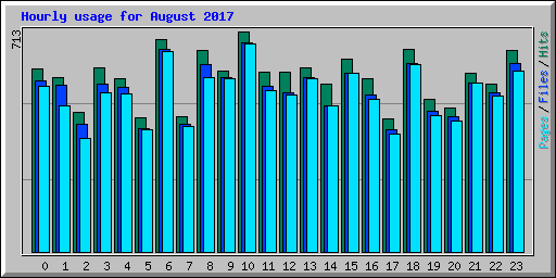 Hourly usage for August 2017