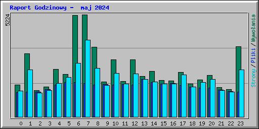 Raport Godzinowy -  maj 2024