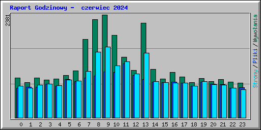 Raport Godzinowy -  czerwiec 2024