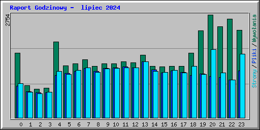 Raport Godzinowy -  lipiec 2024