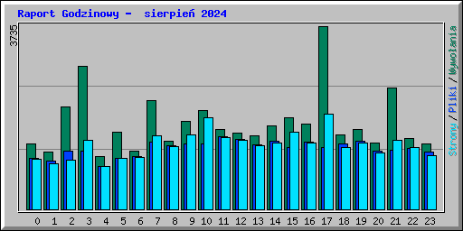 Raport Godzinowy -  sierpie 2024