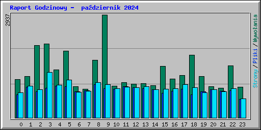 Raport Godzinowy -  padziernik 2024