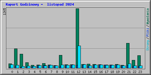 Raport Godzinowy -  listopad 2024