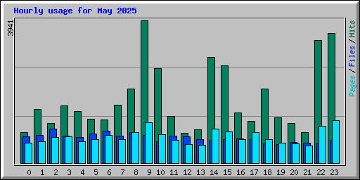 Hourly usage for May 2025