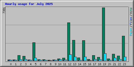 Hourly usage for July 2025