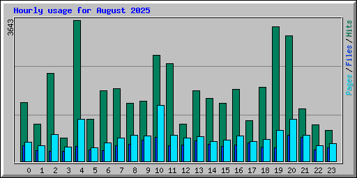 Hourly usage for August 2025