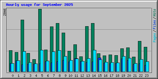 Hourly usage for September 2025