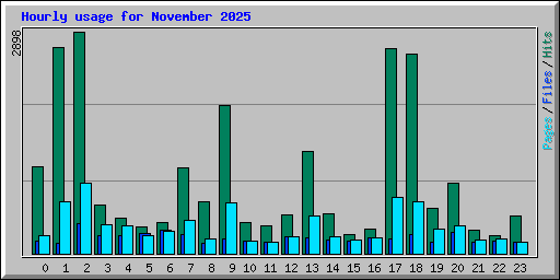 Hourly usage for November 2025
