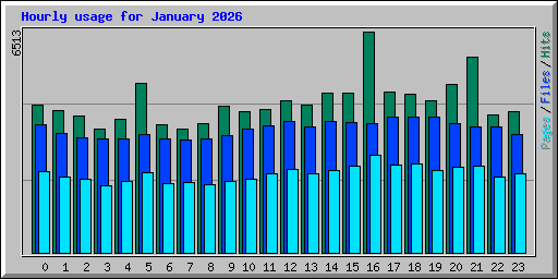 Hourly usage for January 2026