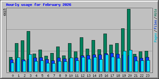 Hourly usage for February 2026