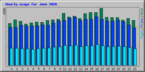 Hourly usage for June 2026
