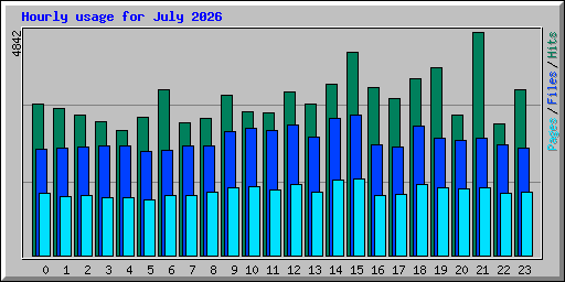 Hourly usage for July 2026