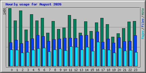 Hourly usage for August 2026
